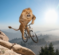 lion-riding-mountain-bike