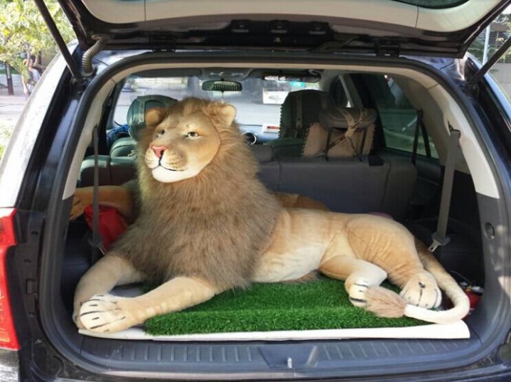 Rob Nanninga lion (seller photo)