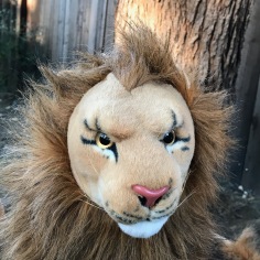 "Full": The Seventh Rob Lion