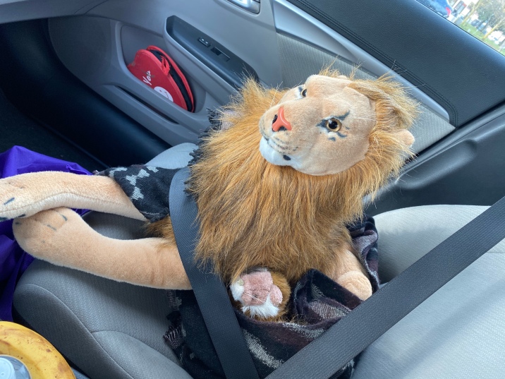 Hungry Rob Lion and Whiskers companion to Rohnert Park